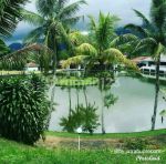 thumbnail-dijual-cepat-hotel-resort-convention-lembah-liurpuncak-bogor-9