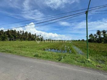 Tanah Strategis Murah Utk Hotel, Resort 1.3ha, SHM Banyuwangi