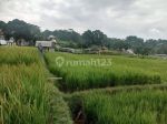 thumbnail-tanah-di-desa-ciapus-banjaran-1193-m2-sawah-aktif-6