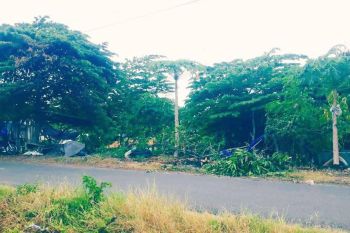 Tanah Strategis Pinggir Jalan Raya Di Sukoharjo Sukoharjo (FR)