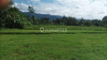 Dijual Tanah Sawah Pinggir Jalan Daerah Pekuncen, Banyumas