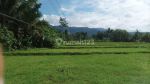 thumbnail-dijual-tanah-sawah-pinggir-jalan-daerah-pekuncen-banyumas-2