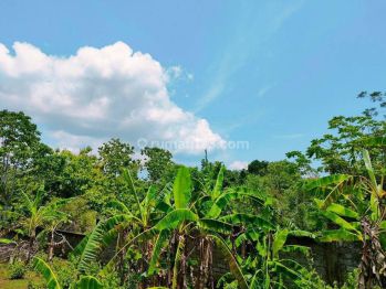 Tanah Jln Pantai Melaati Ungasan Kuta Selatan Badung Bali