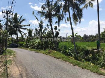Dijual Tanah Murah Los Sungai Petanu di Ubud