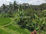 thumbnail-dijual-tanah-murah-los-sungai-petanu-di-ubud-7