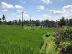 thumbnail-dijual-tanah-murah-los-sungai-petanu-di-ubud-2