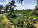 thumbnail-dijual-tanah-murah-los-sungai-petanu-di-ubud-8