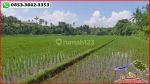 thumbnail-langka-murah-47-are-tepi-pantai-dengan-view-sawah-11