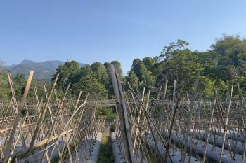 Tanah Ladang Dijual Murah di Tengah Kampung di Purwakarta