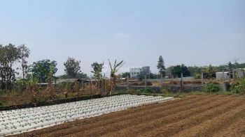 Tanah Luas 150meter, Harga Murah Siap Bangun, Kota Malang