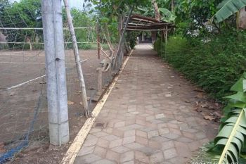 Dijual tanah murah boleh di beli sebagian di jl Suryat gedog Sanan wetan Blitar