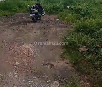 Tanah di cemagi 33 are SHM yellow zone 100%