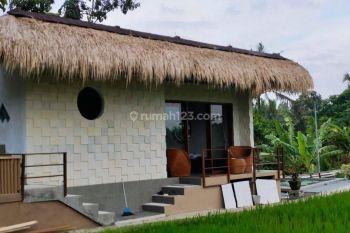 For rent long term 25year villa full view payangan ubud Bali