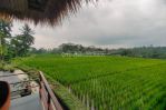 thumbnail-for-rent-long-term-25year-villa-full-view-payangan-ubud-bali-2