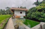 thumbnail-for-rent-long-term-25year-villa-full-view-payangan-ubud-bali-3