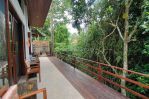 thumbnail-for-rent-long-term-25year-villa-full-view-payangan-ubud-bali-6