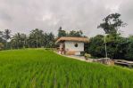 thumbnail-for-rent-long-term-25year-villa-full-view-payangan-ubud-bali-4