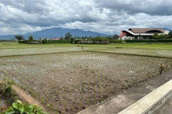 Dijual Kavling Sawah Strategis Disebelah Sabilulungan Soreang