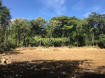 Pekarangan Dekat Studio Gamplong Jogja