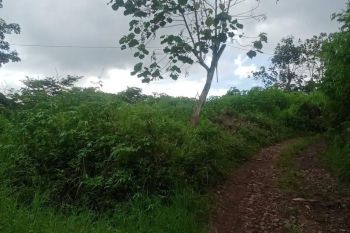 Tanah dekat perumahan kota batu(Madewo apples)