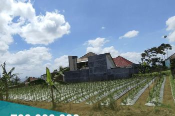 Tanah  Kavling Graha Dewata Joyoagung Dekat Kampus UIN