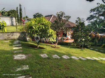 Termurahh Tanah Luas Bonus Villa di Ciawi , Bogor
