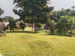 thumbnail-termurahh-tanah-luas-bonus-villa-di-ciawi-bogor-5