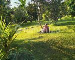 thumbnail-termurahh-tanah-luas-bonus-villa-di-ciawi-bogor-10