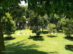 thumbnail-termurahh-tanah-luas-bonus-villa-di-ciawi-bogor-9