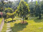 thumbnail-termurahh-tanah-luas-bonus-villa-di-ciawi-bogor-6