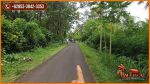 thumbnail-perkebunan-82300-m2-di-jembrana-tanah-kering-siap-bangun-4