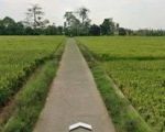 thumbnail-jual-tanah-sawah-pinggir-jalan-3