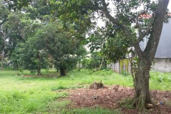 Tanah di Samping perumahan Griya Setu Sebelah MTSN cocok untuk Bikin cluster 10