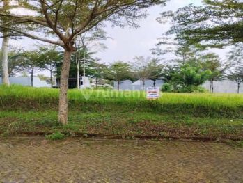 Tanah Palm Valley Araya