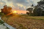 thumbnail-tanah-dijual-di-munggu-rice-field-dan-sunset-view-shm-zona-kuning-246-2-1