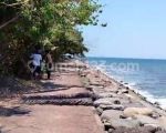 thumbnail-beachfront-tanah-pinggir-pantai-datar-di-tejakula-buleleng-bali-0