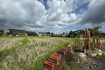 thumbnail-land-1000-sqm-for-leasehold-at-canggu-3