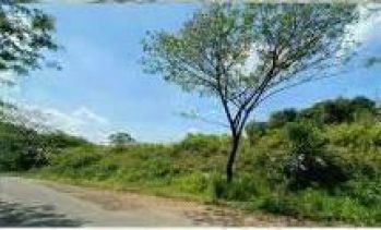 Tanah Dijual. Siap Untuk Perumahan. Lokasi Sentul City Bogor jawa Barat.