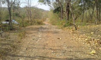 Tanah di karang wareng 350.000m  SHM