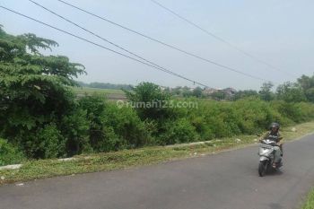 Tanah Pekarangan Murah Plumbungan Sukodono Sidoarjo