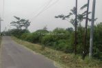 thumbnail-tanah-pekarangan-murah-plumbungan-sukodono-sidoarjo-2