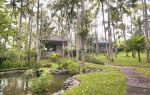 thumbnail-modern-tropical-style-villa-di-pekutatan-jembrana-bali-1