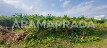 Dijual Tanah 122m2 Kerobokan Kelod Dekat Seminyak Canggu