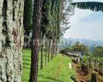 thumbnail-ex-cafe-di-punclut-tanahluas-2292-m2-view-gunung-dan-kawasan-dago-dengan-udara-6