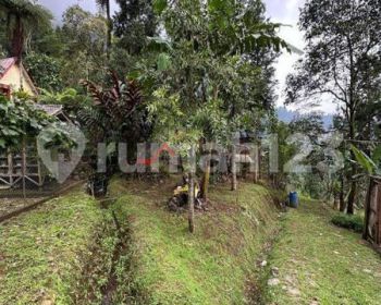 Tanah Kosong Halaman Luas View Gunung Dan Udara Dingin Cilember