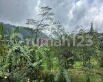 thumbnail-tanah-kosong-halaman-luas-view-gunung-dan-udara-dingin-cilember-7