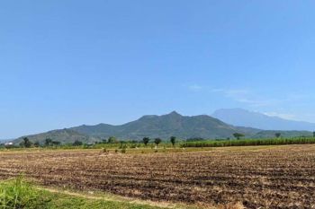 Tanah Dijual Kediri Ngampel SHM Dekat Lirboyo Al Mahrusiyah