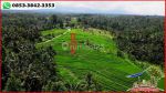 thumbnail-potensial-tanah-terasering-landai-48-are-di-penebel-tabanan-7