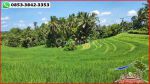 thumbnail-potensial-tanah-terasering-landai-48-are-di-penebel-tabanan-1