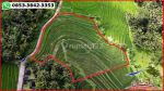 thumbnail-potensial-tanah-terasering-landai-48-are-di-penebel-tabanan-2